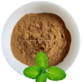 Hight Quality Bulk Peppermint Extract Powder